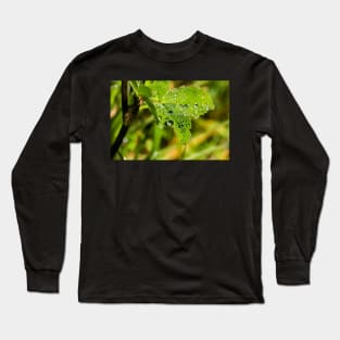 Raindrops on a wild rose leaf Long Sleeve T-Shirt